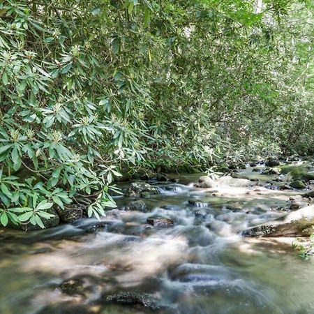 Open Studio Lodge At Little Rock Creek Cherry Log Exteriér fotografie