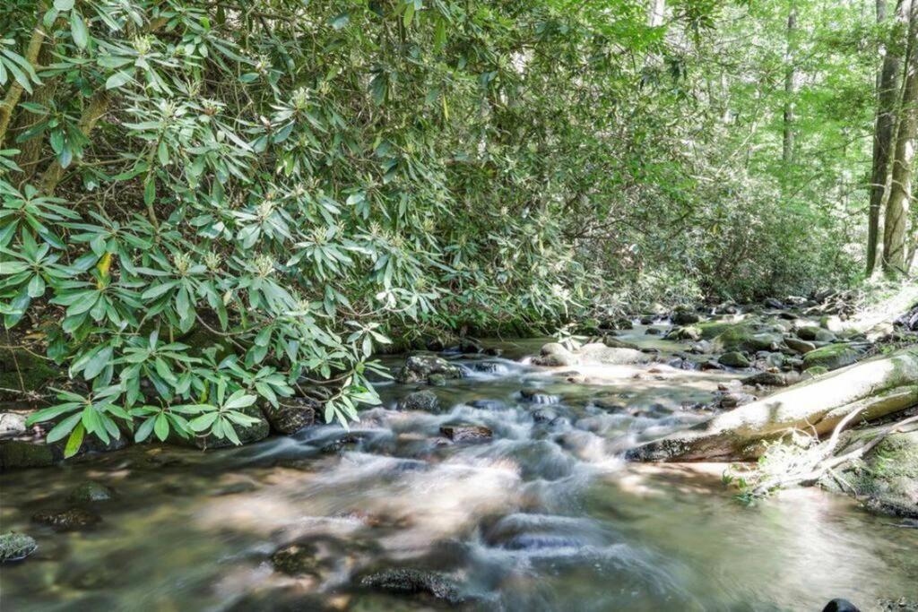 Open Studio Lodge At Little Rock Creek Cherry Log Exteriér fotografie