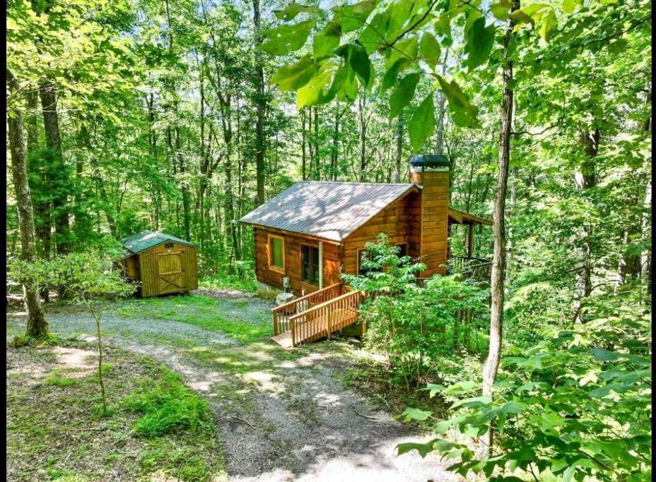 Open Studio Lodge At Little Rock Creek Cherry Log Exteriér fotografie